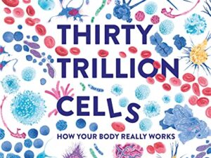 Thirty Trillion Cells